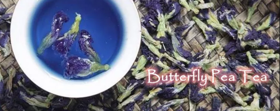 Butterfly Pea Flower