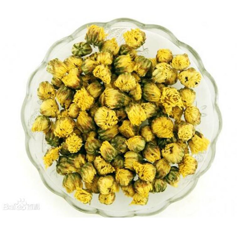 Bourgeon de chrysanthème