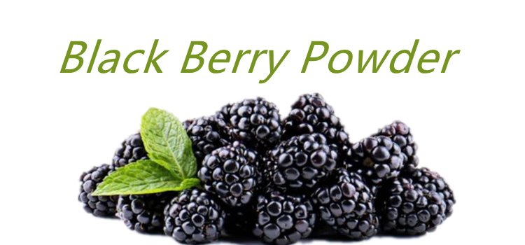 blackberry fruit