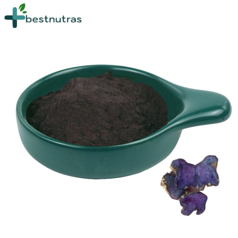 black ginger powder extract