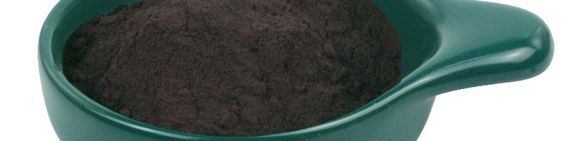 black ginger powder extract