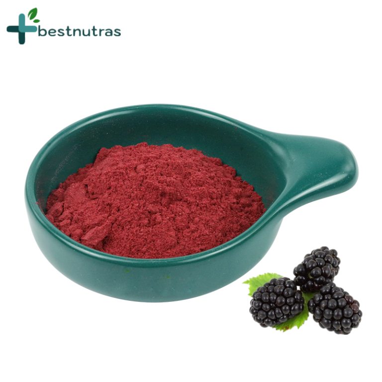 blackberry powder bulk