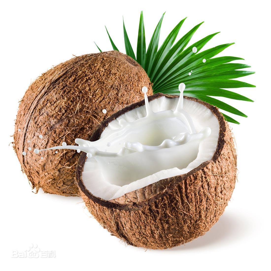 coconut