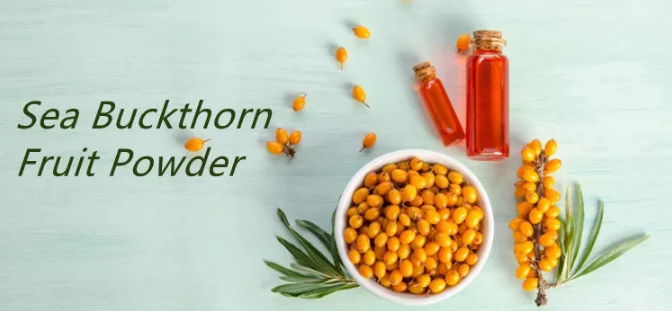 sea buckthorn oil powder