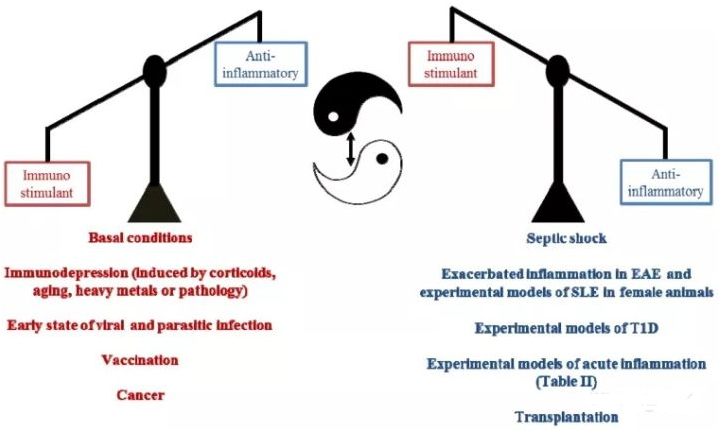 Melatonina per il sistema immunitario