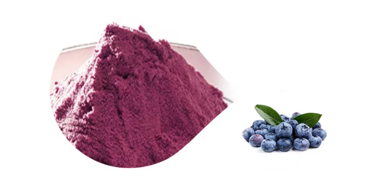 blueberry powder bulk