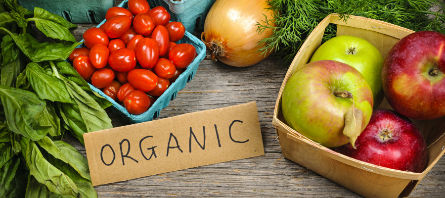 organic certification