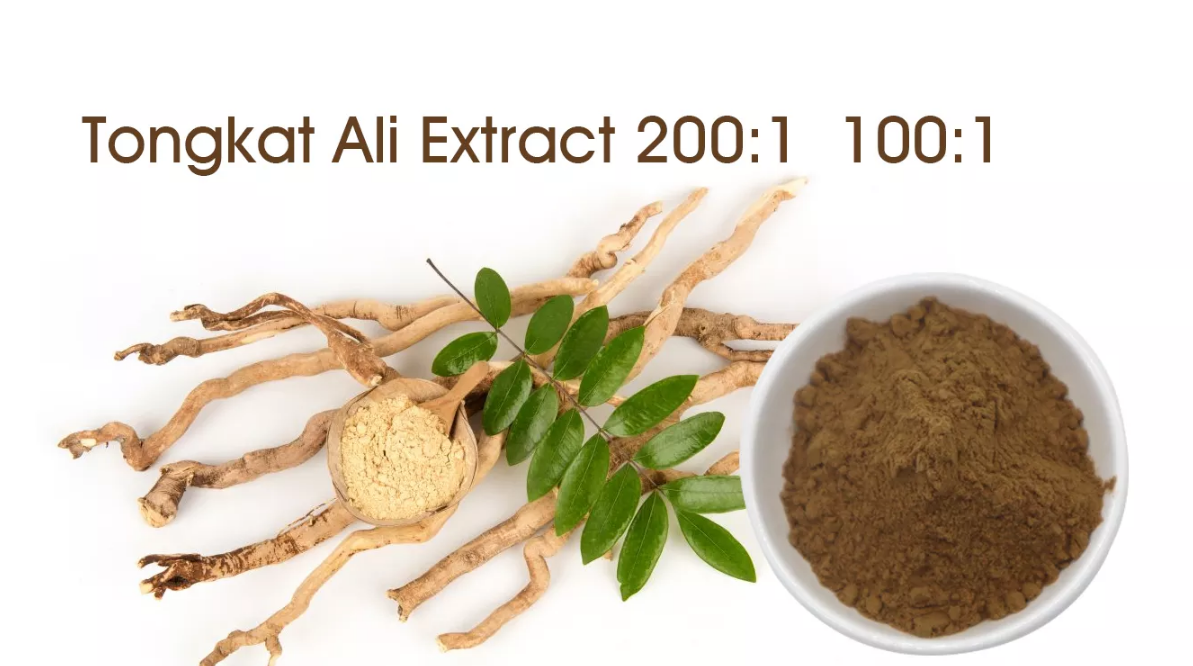 Tongkat Ali-Extrakt