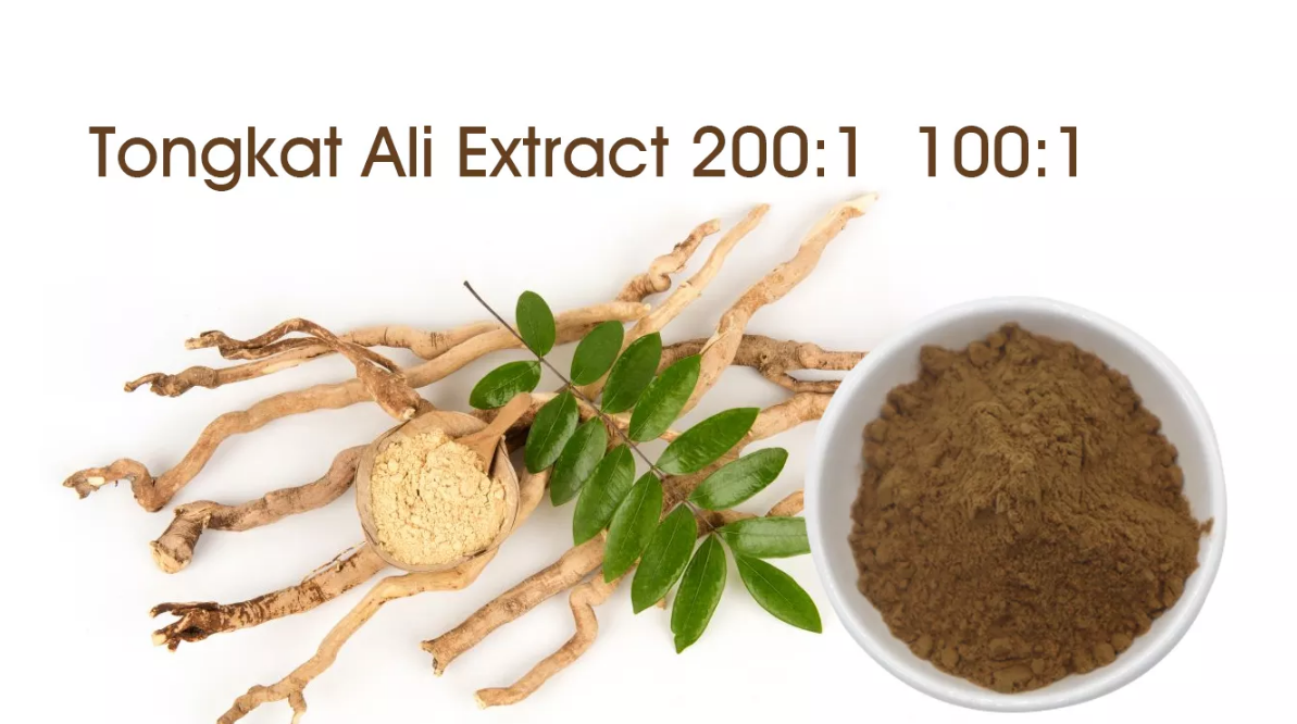 tongkat ali extract