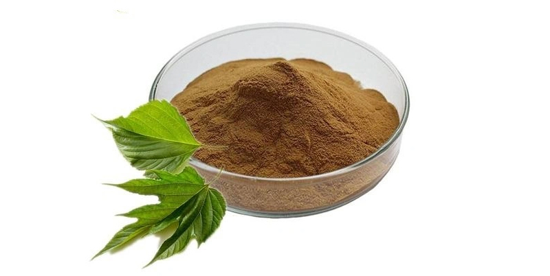 organic mulberry leaf extract
