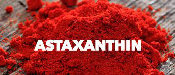 Astaxanthin-Pulver