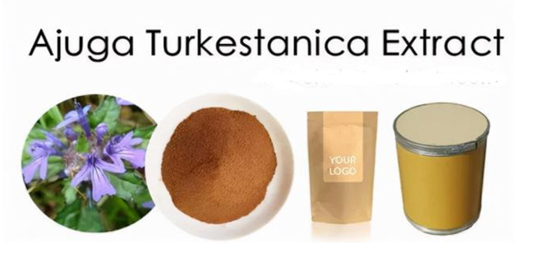 Cos'è il Turkesterone?