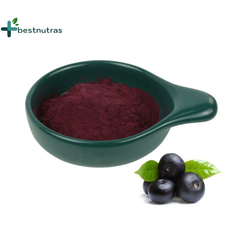 acai berry extract powder