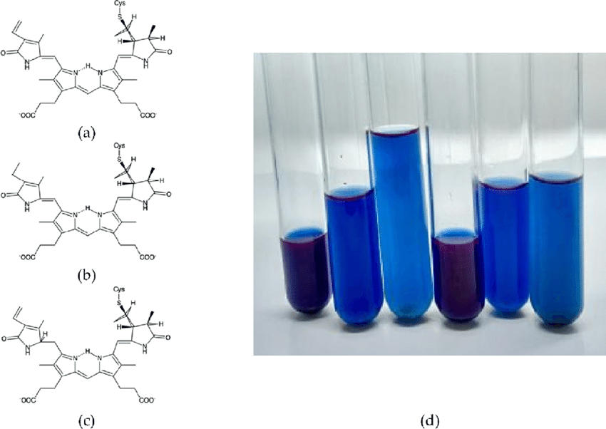 structure de la phycocyanine