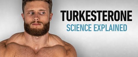 turkesterone proves