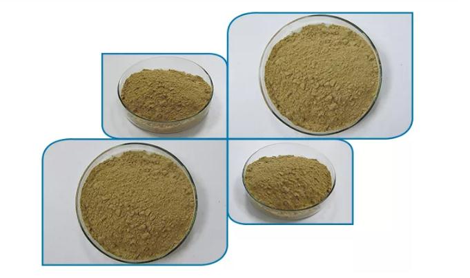 Ecdysterone powder