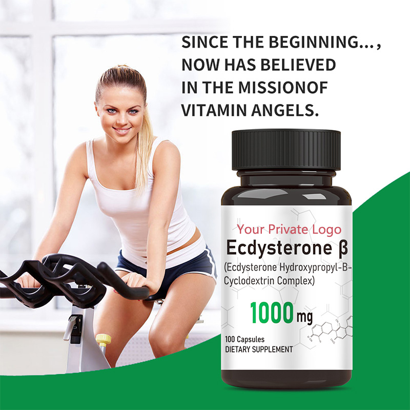 ecdysterone for muscle