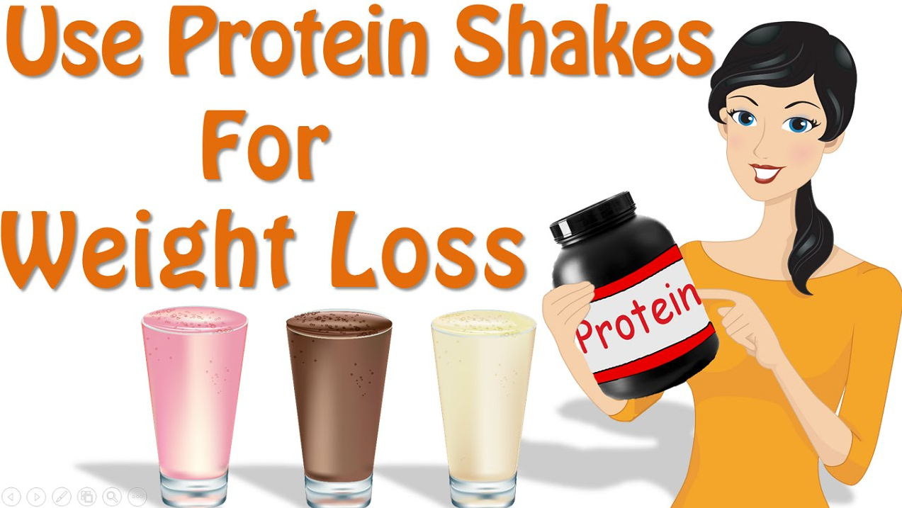 proteins for weight loss