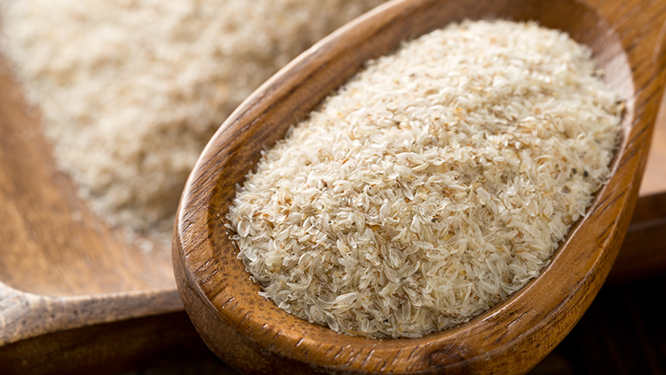 fibre de psyllium