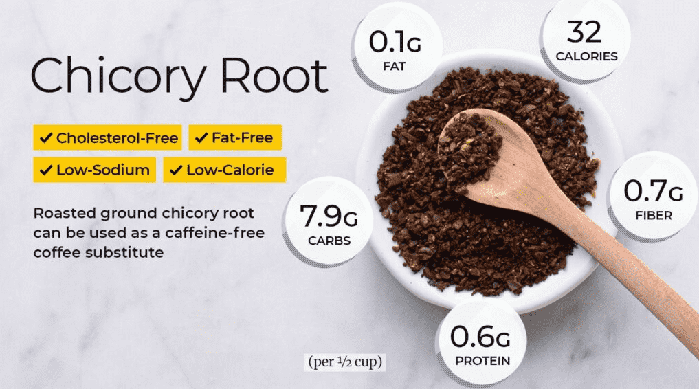 chicoryroot